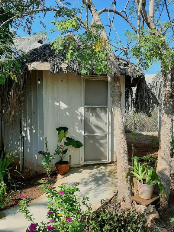 Habitación Doble con vistas al jardín