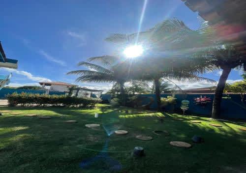 un patio con palmeras y luz solar en la Pousada São Miguel dos Milagres, en São Miguel dos Milagres