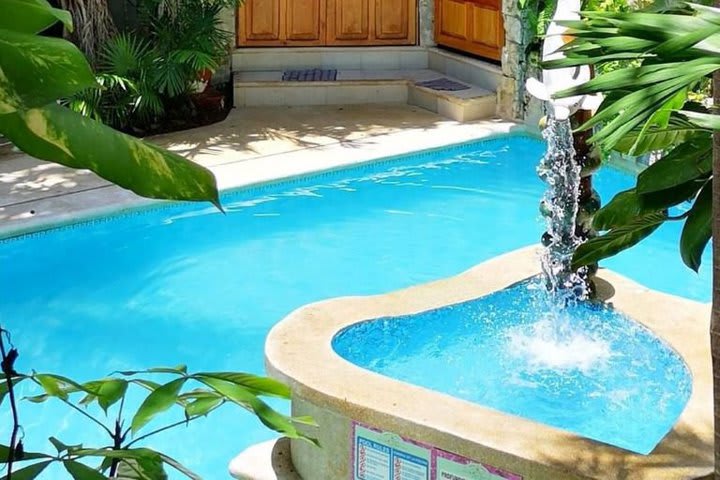 La piscina está enmarcada por exuberante vegetación