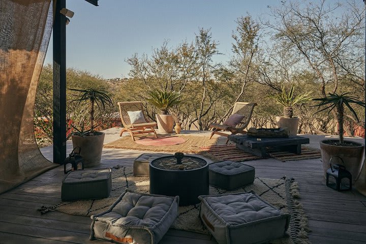 Vista de la naturaleza endémica de la región