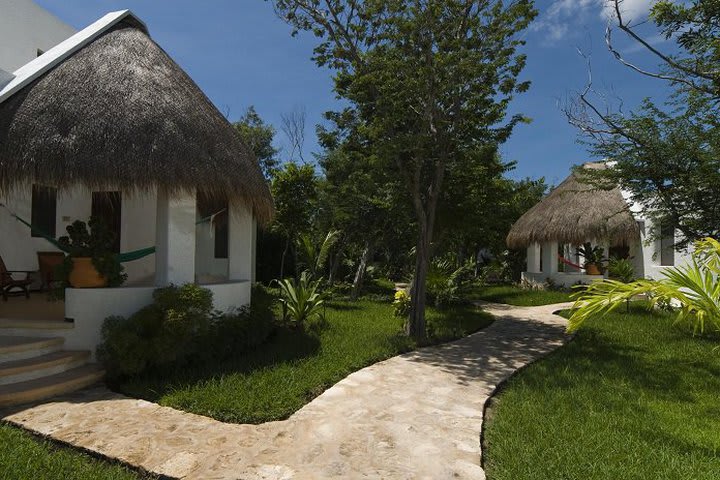 El hotel tiene bungalows en jardín con flores y frutas