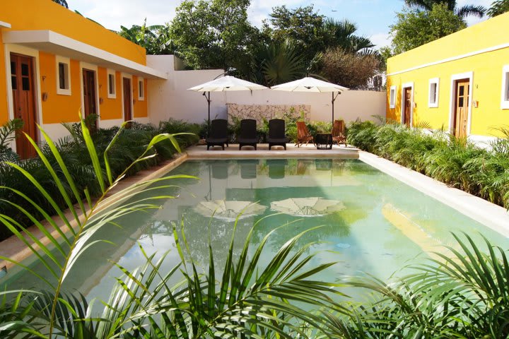 Sun loungers next to the pool