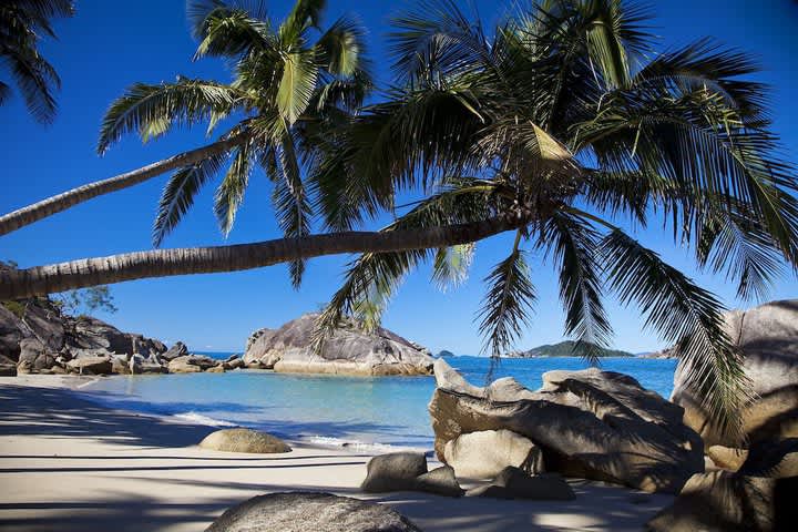 PriceTravel - Viaja fácil, sin pretextos