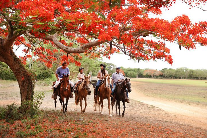 The resort has an equestrian center