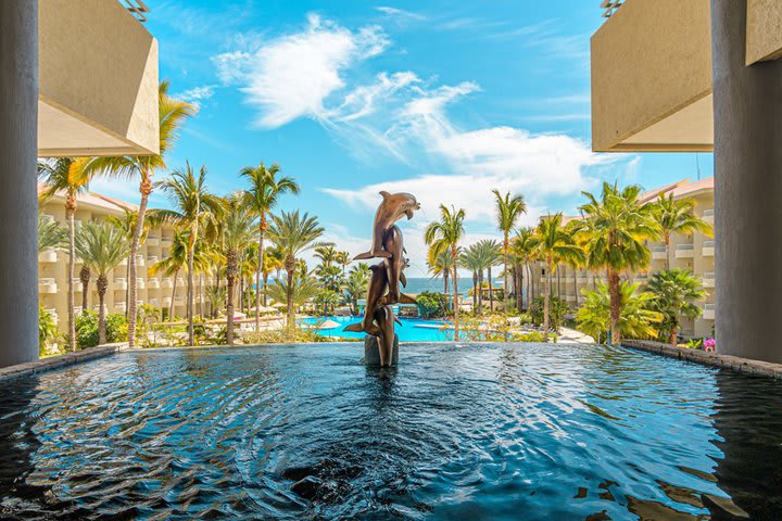 Dolphin fountain