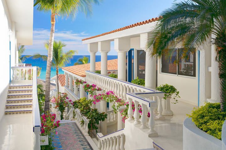 Suites overlooking the garden