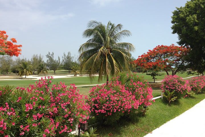 El hotel está junto al campo de golf Pok-ta-Pok en la Zona Hotelera de Cancún