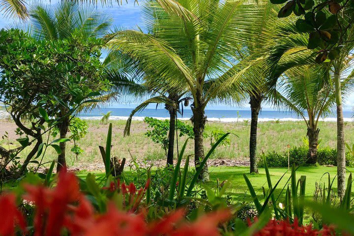 Jardín y playa