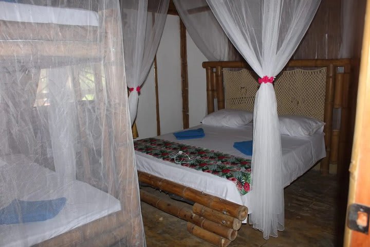 Habitación Palmarito