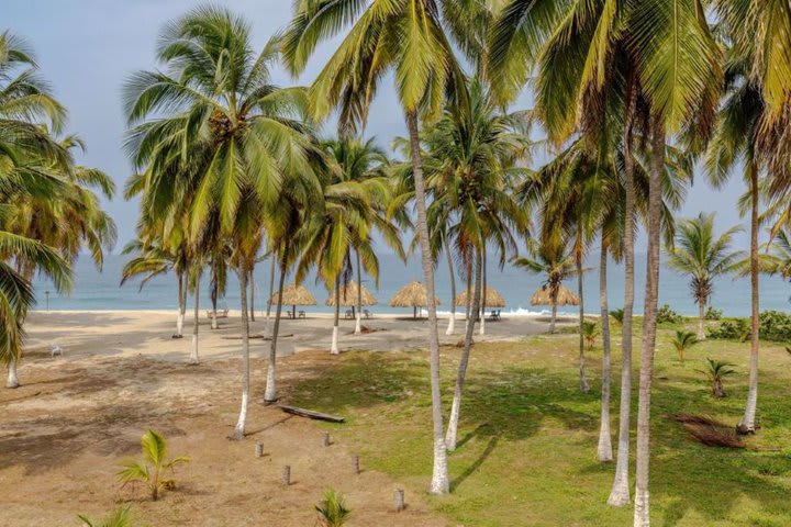 Área de la playa