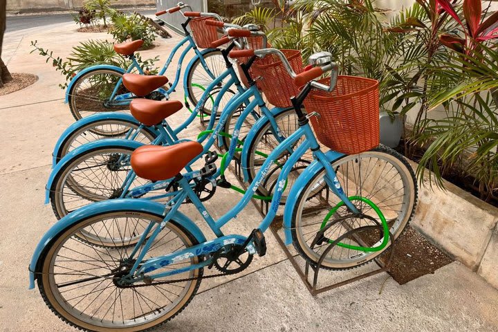 Bike rental