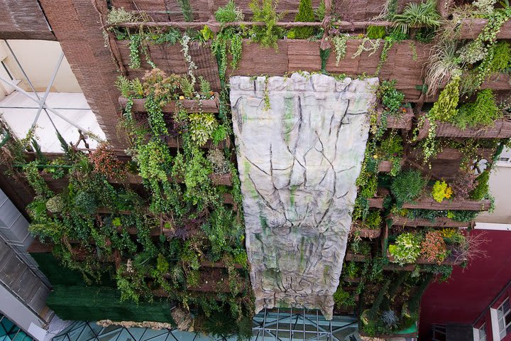 Hanging garden