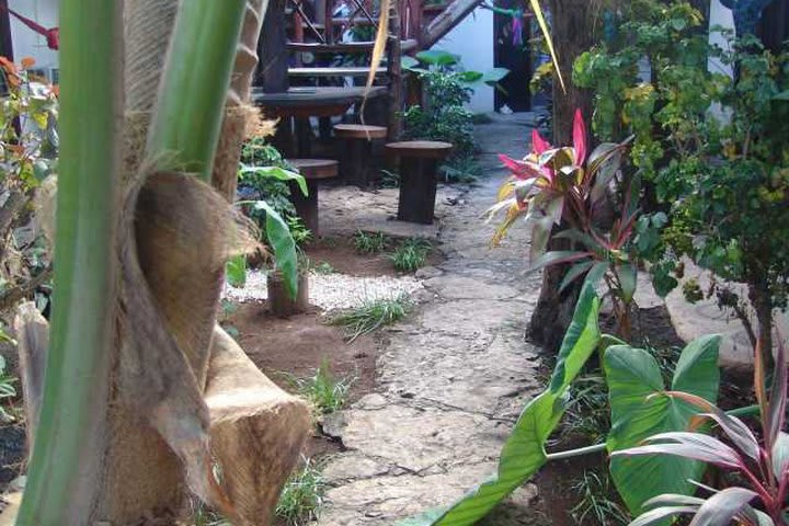 Jardín tropical del Hotel Kin Ha Pueblo