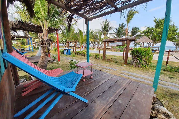 Terrace with ocean view