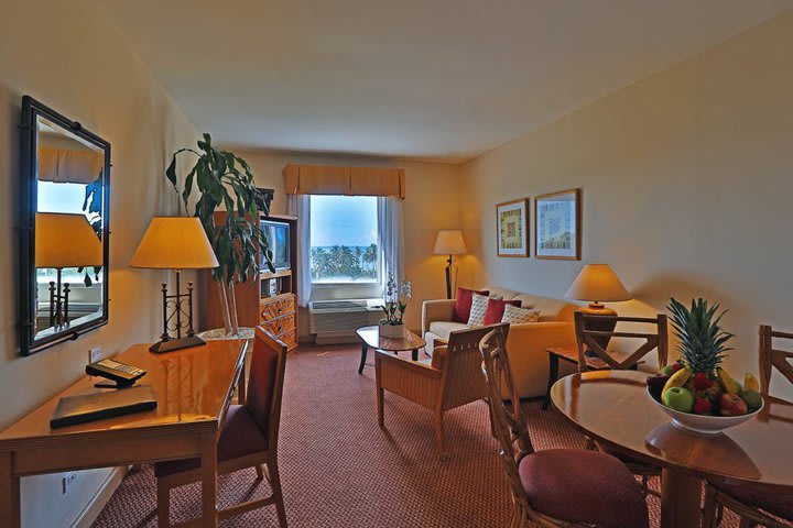 Overview of a suite with sitting and dining areas