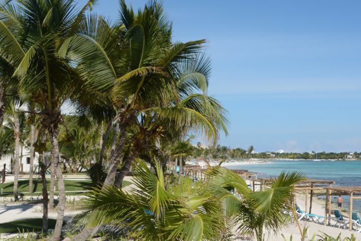 La bahía de Akumal es ideal para hacer snorkel