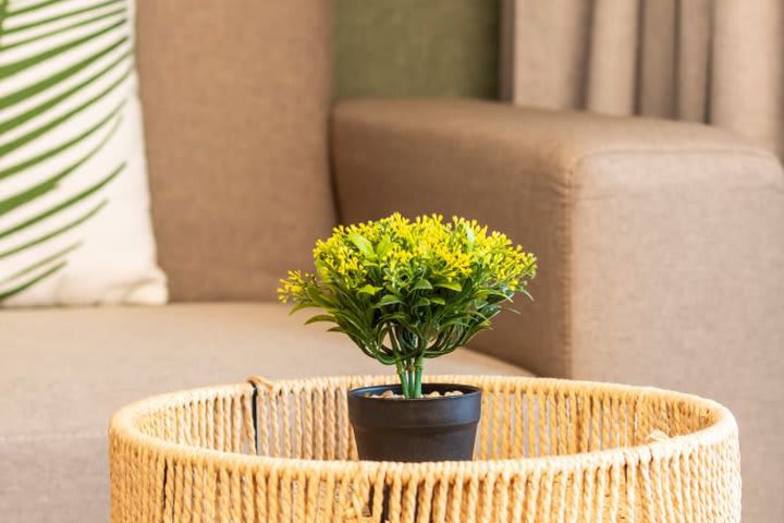 Mesa de centro en una habitación