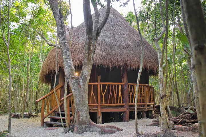 El hotel ofrece cabañas