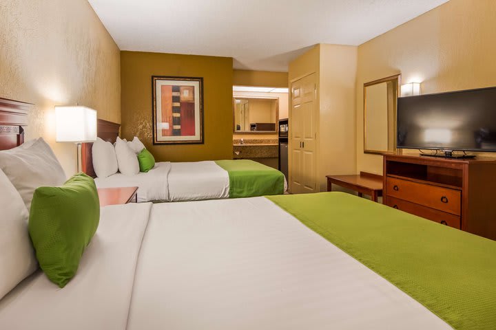 1 KING BED,MOBILITY ACCESSIBLE,ROLL SHWR,SOFBD, NSMK,CONTINENTAL BREAKFAST *RoomOnly