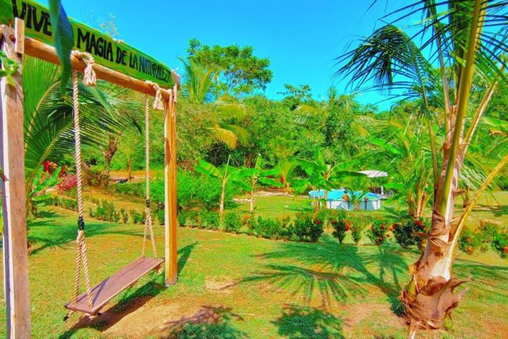 Vista del jardín y la piscina