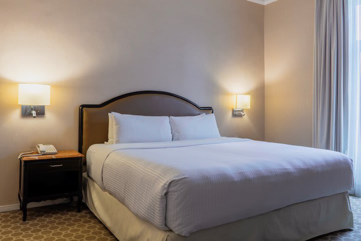 Superior king guest room