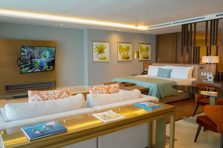 Suite Grand Class