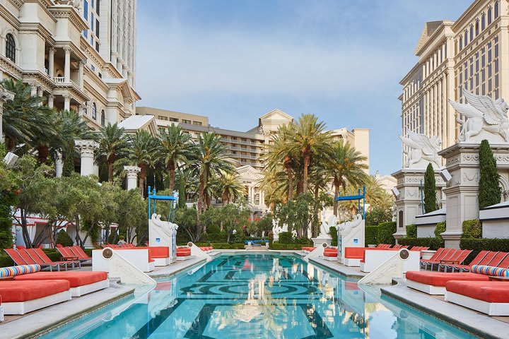 Lounge at the Venus pool