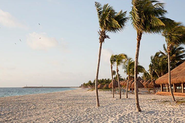 Extensive beach with fine and white sands