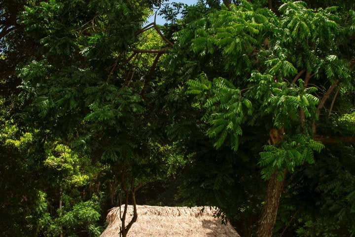 Cabañas rodeadas de naturaleza