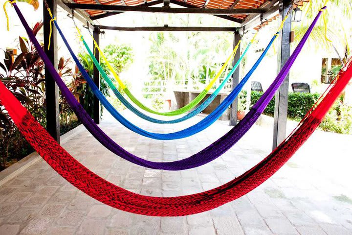 Hammocks