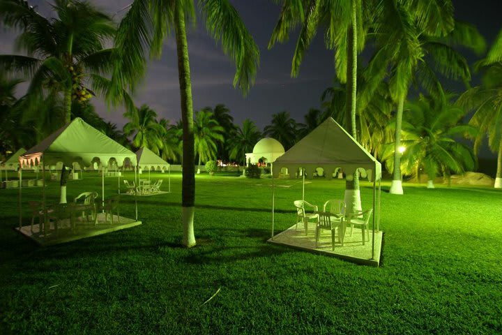 The garden at night