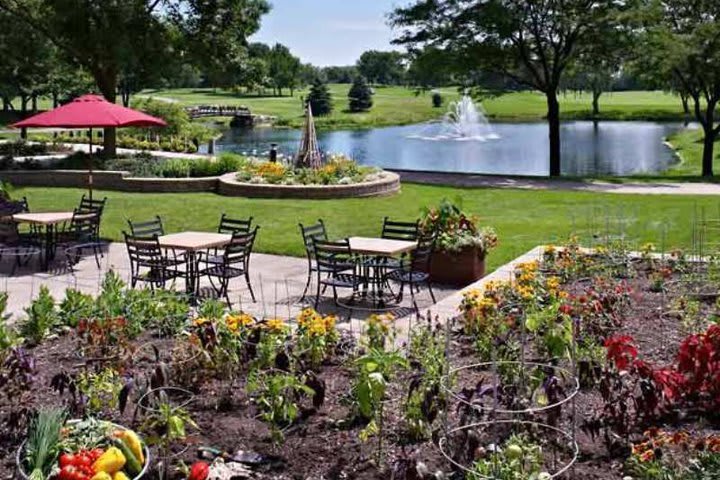 Spacious gardens at Hills Resort - Chicago, hotel in Oak Brook