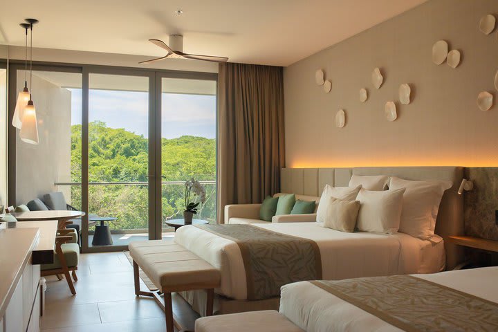 Junior Suite Tropical View King - DJRKTV