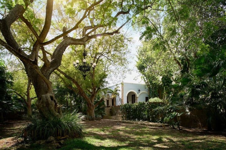 Facilities surrounded by vegetation