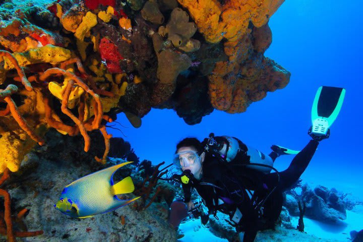 El hotel tiene equipo para practicar snorkel en la orilla del resort