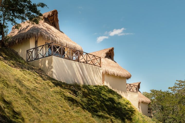 The hotel offers accommodations with thatched roof