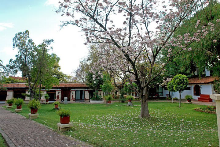 Jardín