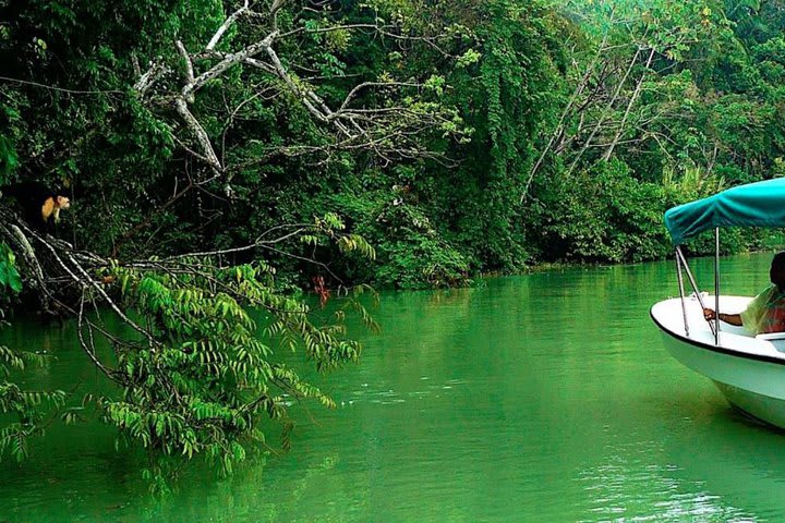 Se ofrecen diversas actividades