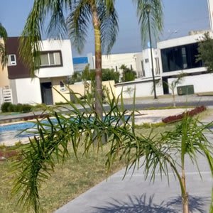 Casa Completa Dreams Lagoons Apodaca