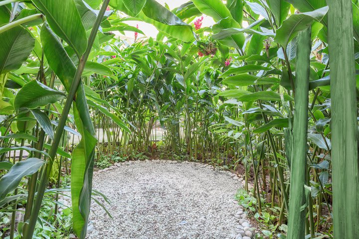 Áreas verdes del hotel