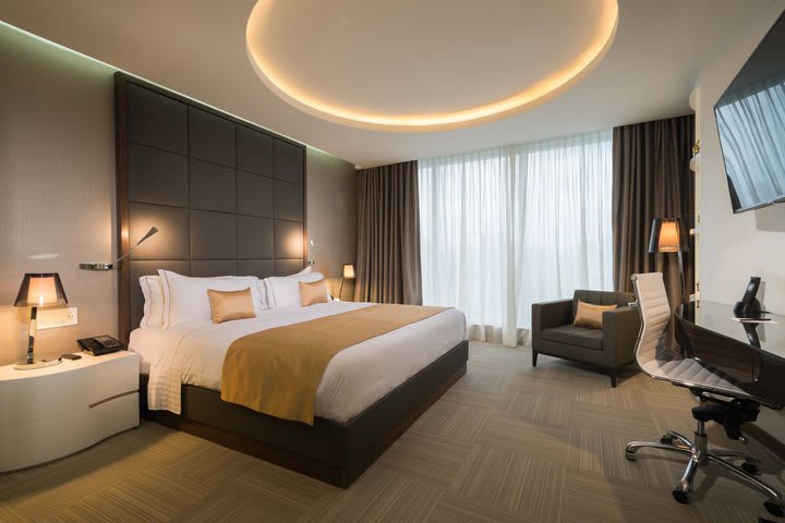 Executive Room, 1 King Bed, City View