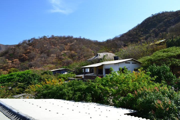 Vista desde la terraza del Hostal La Casa de Felipe