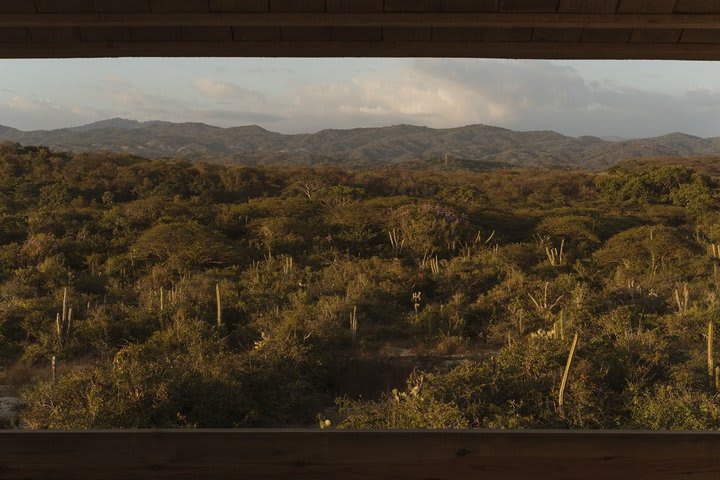 Vista desde el hotel