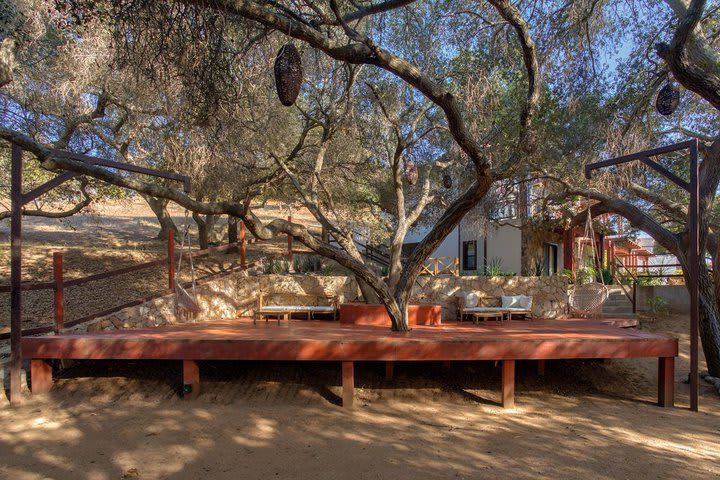 Courtyard in a Encinal standard guest room