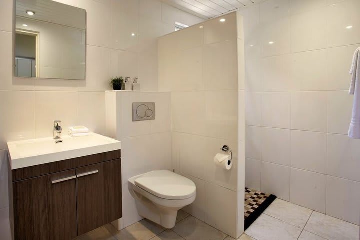 Private guest bathroom with shower