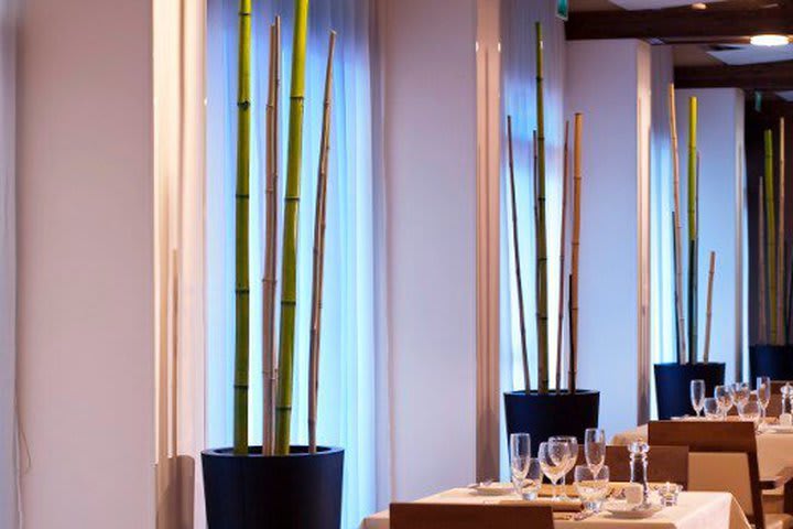 Anima restaurant at Atahotel Villa Pamphili in Rome