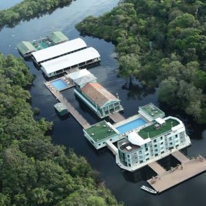 Amazon Jungle Palace