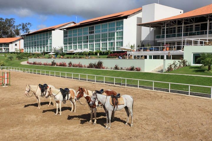 Disfruta de paseos a caballo en el Resort Villa Hípica