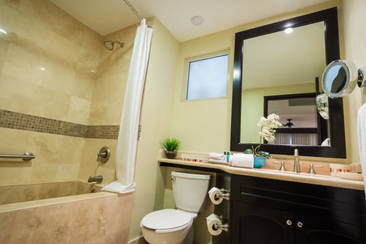 Private guest bathroom