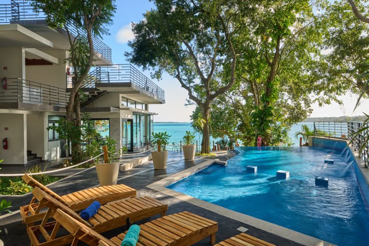 Sun loungers next to the pool